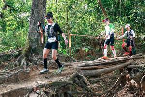 BIB: 
                            <button type="button" onclick="openModal(27716995)" class="btn btn-primary btn-sm float-right btn-popup" data-toggle="modal" data-target=".modal-high-quality">
                        <i class="fas fa-shopping-cart"></i> Add to Cart
                    </button>
                                            <button type="button" onclick="isThisMe(27716995, true)" class="btn btn-success btn-sm float-right btn-popup btn-isme hidden" data-toggle="tooltip" data-placement="bottom" title="นี่คือรูปของคุณใช่ไหม คลิกที่นี่เพื่อเอาเข้าอัลบั้ม">
                        <i class="fas fa-plus"></i> Add to album
                    </button>
                    <button type="button" onclick="isThisMe(27716995, false)" class="btn btn-warning btn-sm float-right btn-popup btn-isnotme hidden">
                        <i class="fas fa-ban"></i> Remove from album
                    </button>